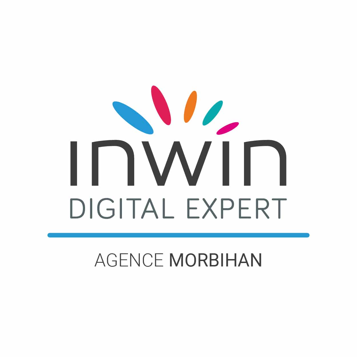 Inwin logo